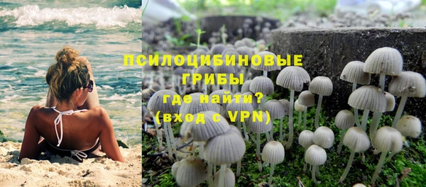 каннабис Богородицк